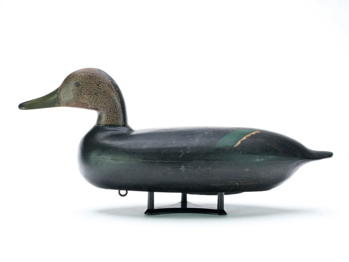 Leonard Pryor – Black Duck – 2025