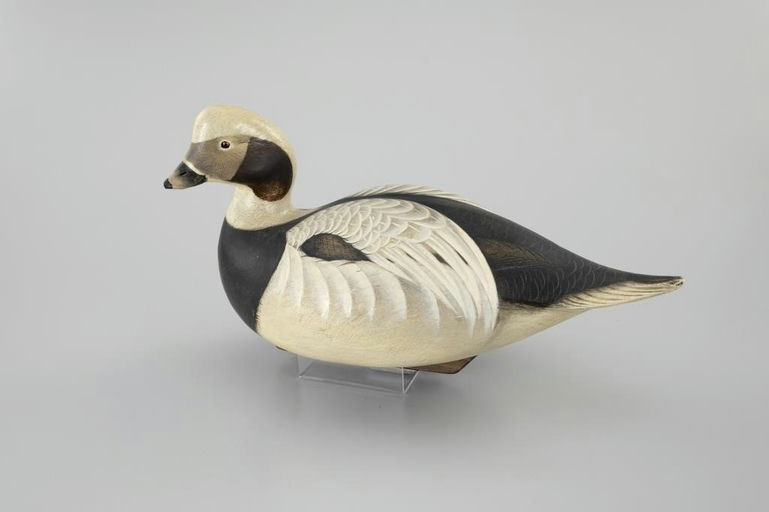 Jim Schmiedlin – Long-Tailed Duck – 2026