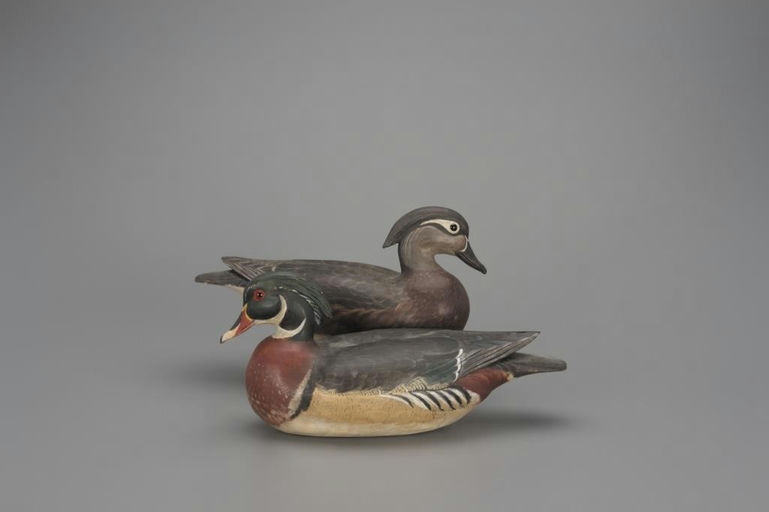 Davison B. Hawthorne – Wood Duck Pair – 2018