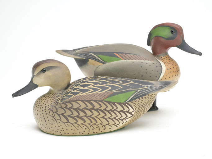 Ward Brothers – Pair of greenwing teal – 2023