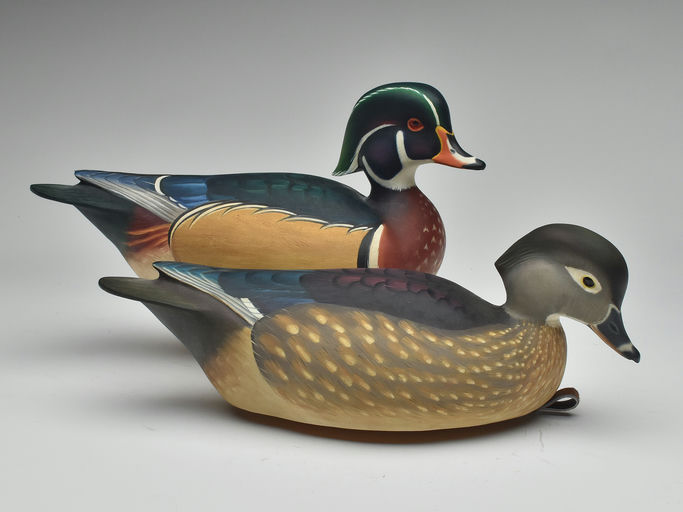 Ben A. Heinemann – Wood Duck – 2023
