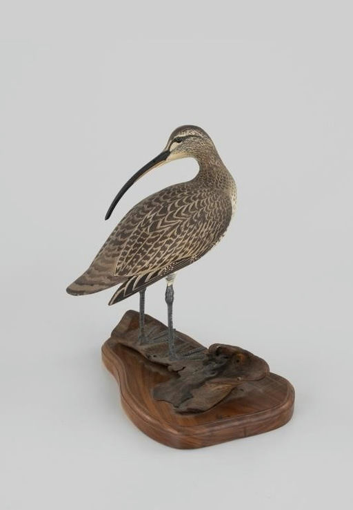 Ward Brothers – The Purnell-Aitken Ward Preening Curlew – 2026