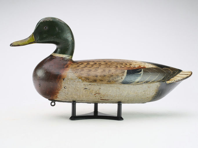 Charles Perdew – Mallard Drake – 2024