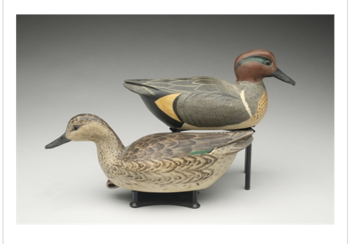 Grayson Chesser – Pair of Green-winged Teal – 2015