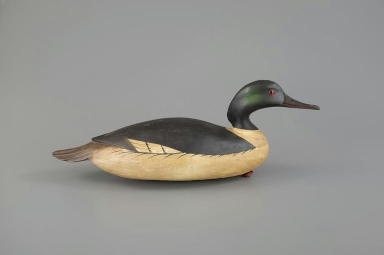 Bob White – White-Rig American Merganser – 2025
