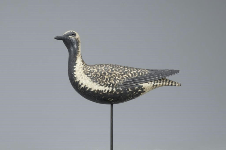 Marty Hanson – Black-Bellied Plover – 2020