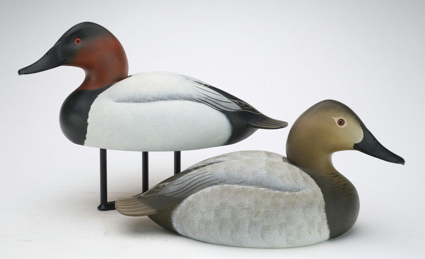 Oliver Lawson – Pair of Canvasback – 2024