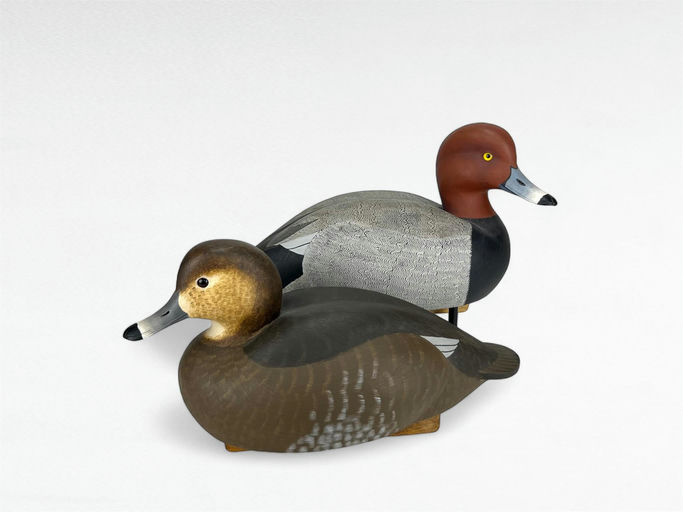 Jon Box — Competition Redhead Pair