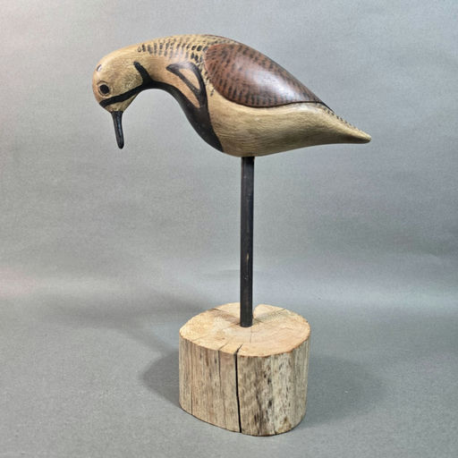Steve Morey – Shorebird – 2026