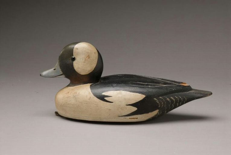 David W. Nichol – Bufflehead Drake – 2009