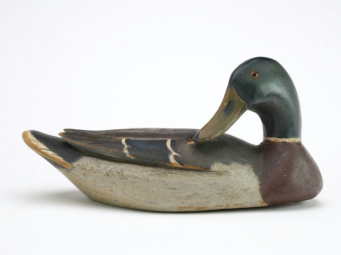 Horace Crandall – Mallard – 2024