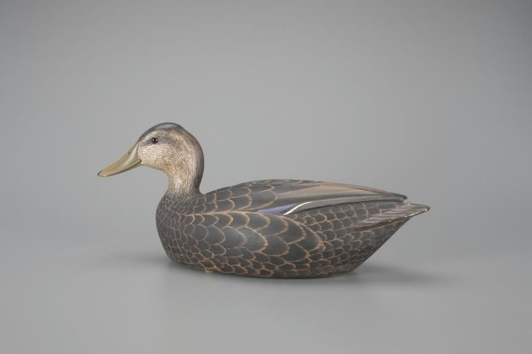 William Schultz – Black Duck – 2024