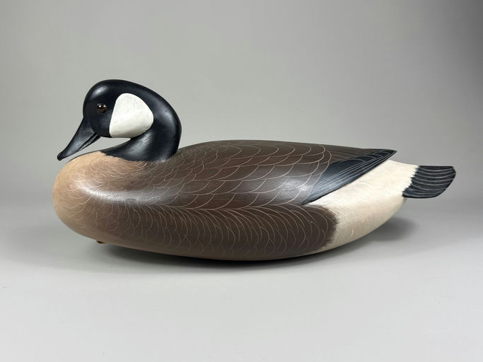 George Strunk – Canada goose – 2026