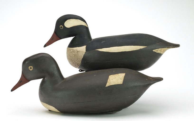 Hurley Conklin – Pair of Hooded Merganser – 2024