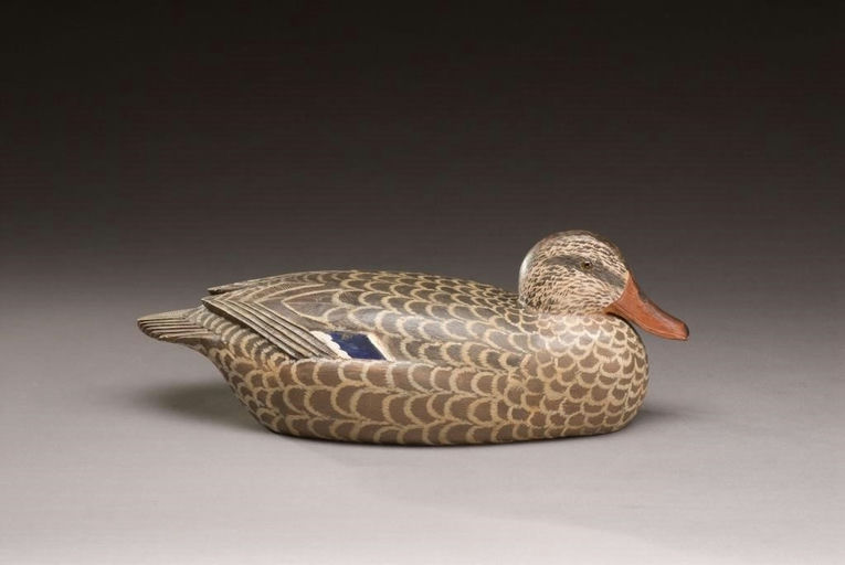 Charles Buchanan – Mallard Hen – 2009