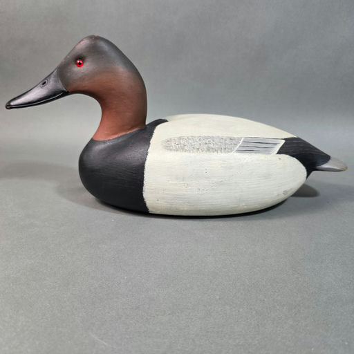 Cigar Daisey – Canvasback – 2026