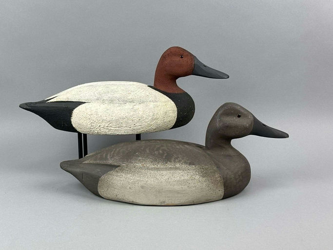 David Simandl – Canvasback – 2026