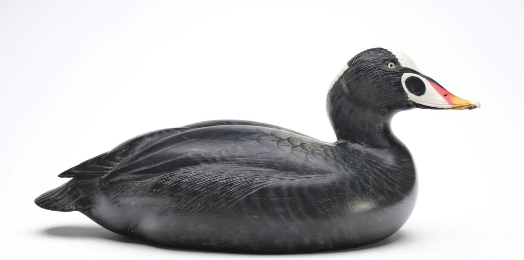 Ward Brothers – Scoter – 2026