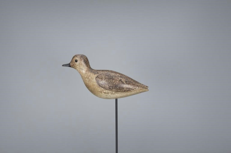 George Boyd – Golden Plover – 2017