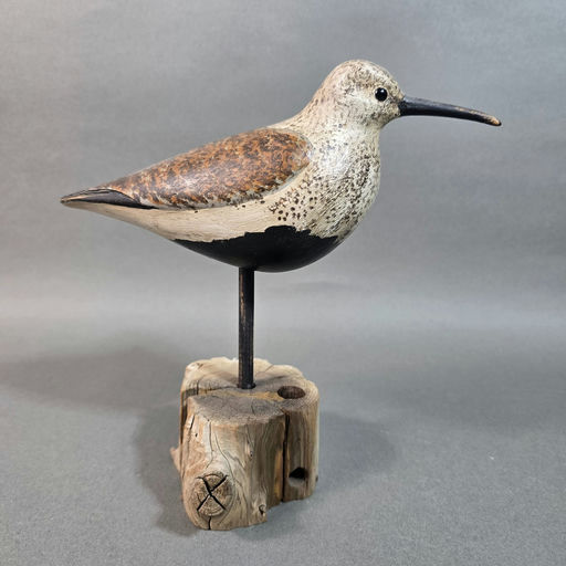 Steve Morey – Shorebird – 2026