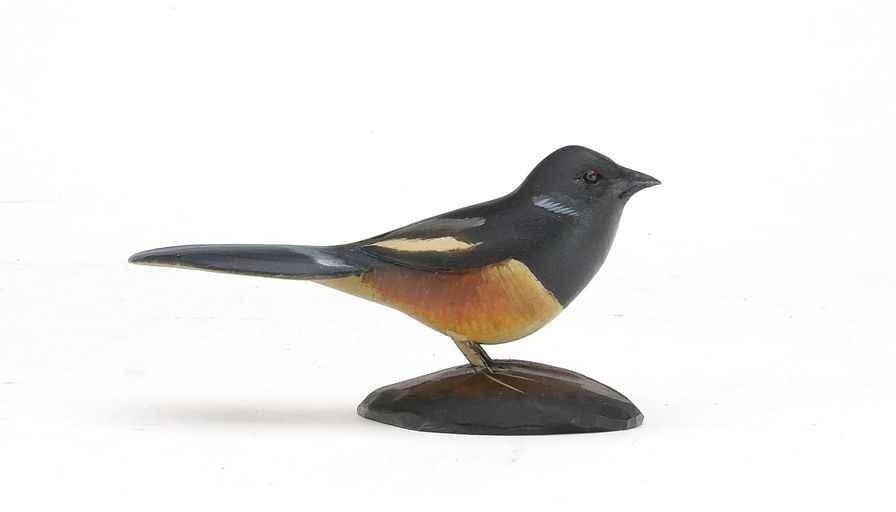 Sean Sutton – Miniature Towhee – 2024
