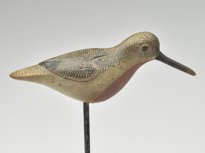 Mark McNair – Dowitcher – 2023