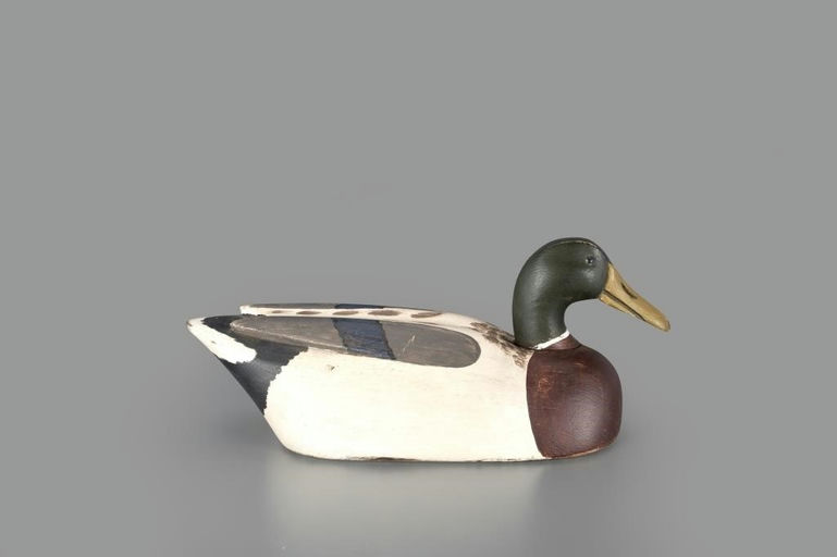 Ed Vidmar – Mallard – 2024