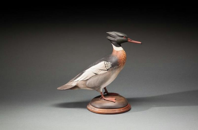 Bill Gibian – Red-Breasted Merganser Drake – 2016