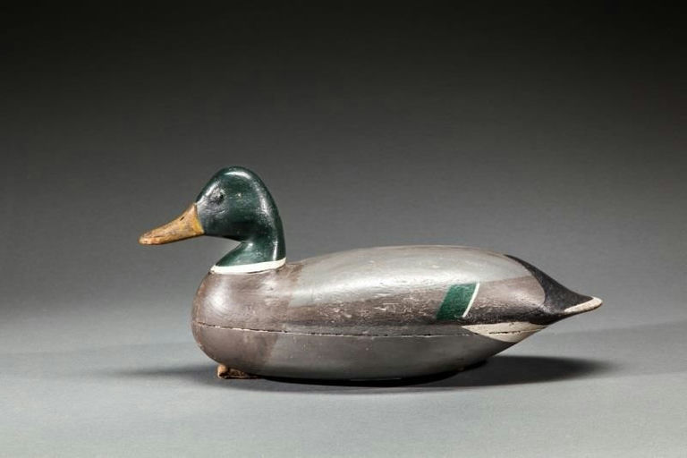 Harry V. Shourds – Mallard Drake – 2015