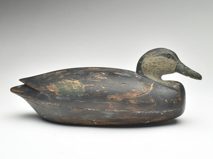 Nathan Cobb, Jr. – Black Duck – 2023