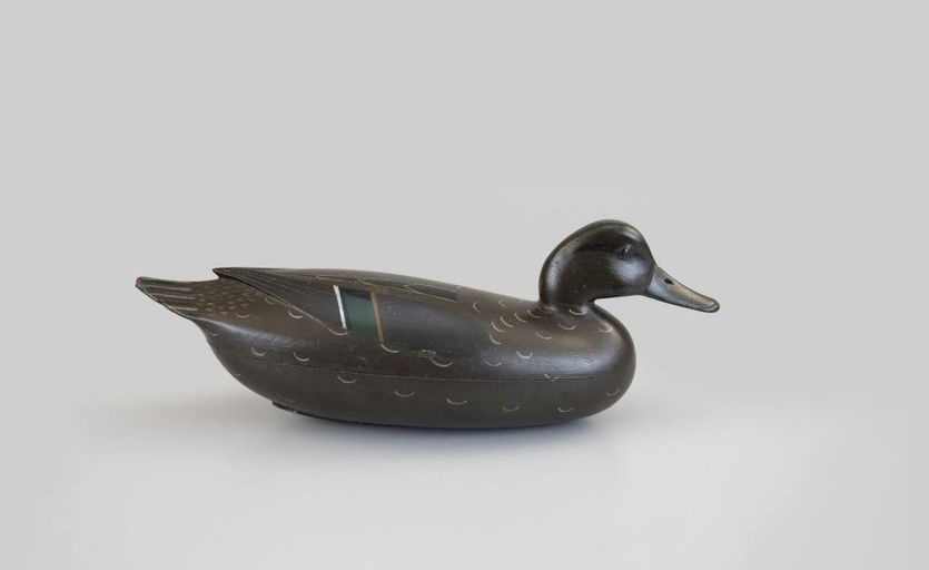 John English – The Hillman English-Dawson Pintail Hen – 2026