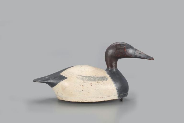 Augustus Moak – Canvasback Drake – 2022