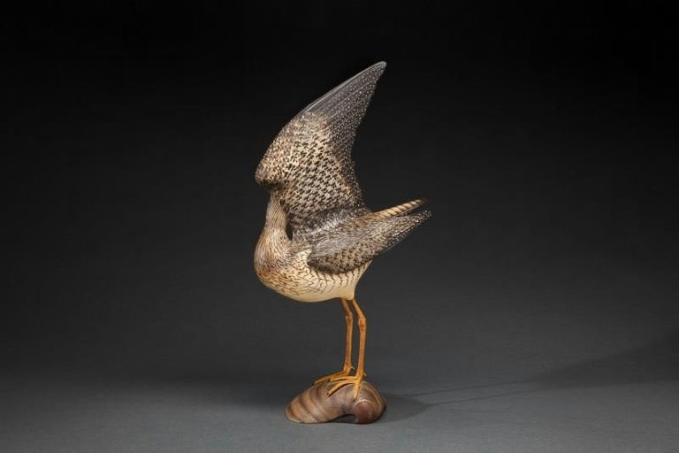Bill Gibian – Preening Yellowlegs – 2014