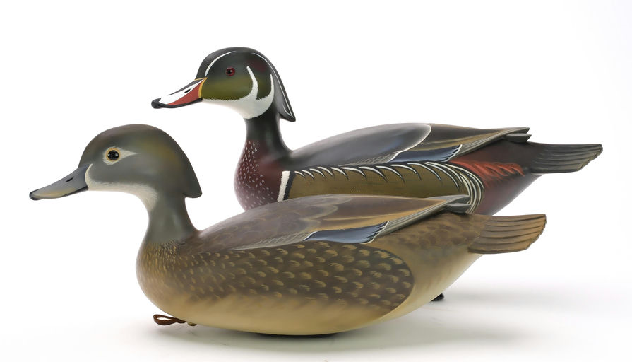 George Strunk – Pair of Wood Ducks – 2024