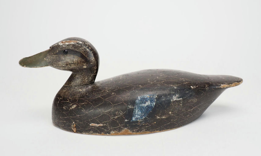 Ferman Eyre — Black Duck