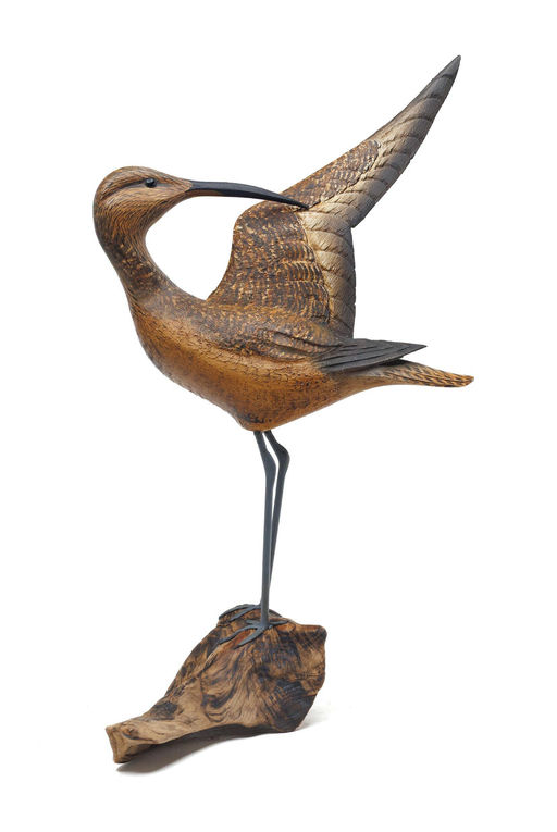 C. W. Waterfield – Curlew – 2026
