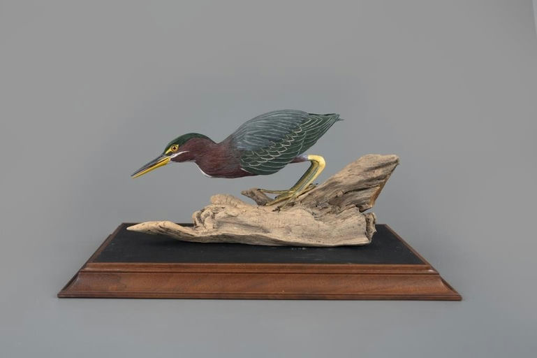 Bernard N. Burns – Green Heron – 2025