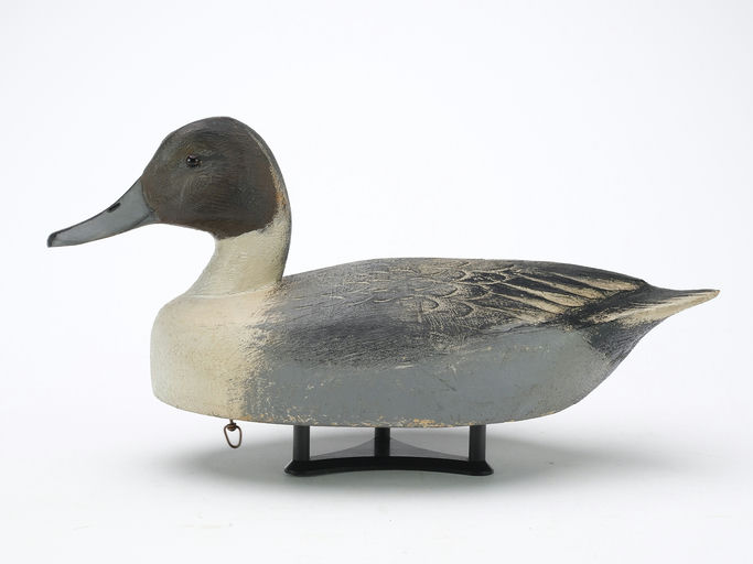 Ben Schmidt – Pintail – 2024