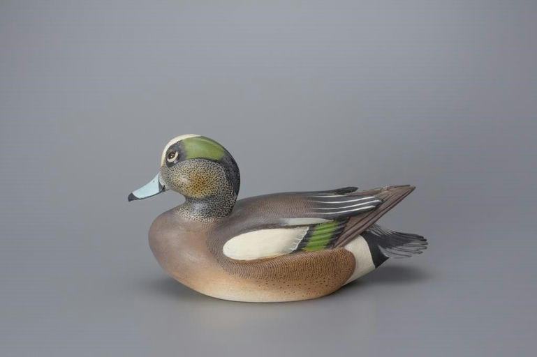 Ward Brothers – Wigeon Drake – 2017