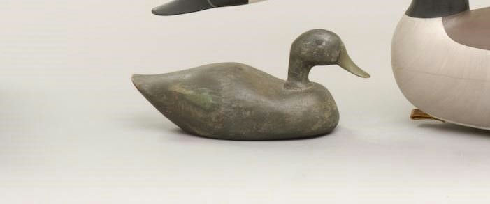 Gilbert Waite – Green-Winged Teal Hen – 2009