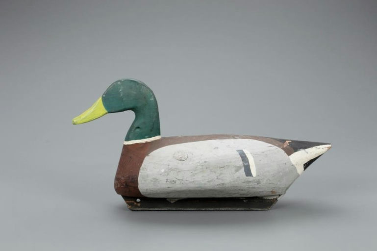 Callie O'Neal – Mallard Drake – 2021