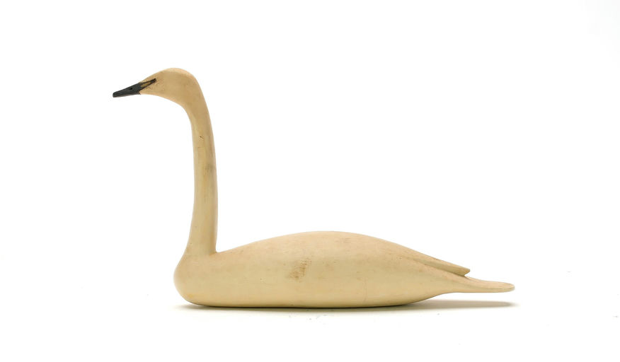 Bob White – Miniature Swan – 2025