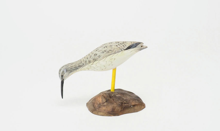 Steve Weaver — Yellowlegs