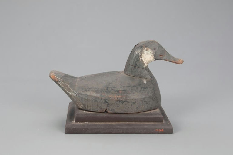 Wallace O'Neal II – Ruddy Duck Drake – 2021