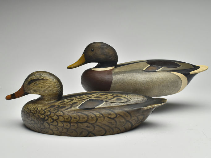 Ken Anger – Mallard – 2023