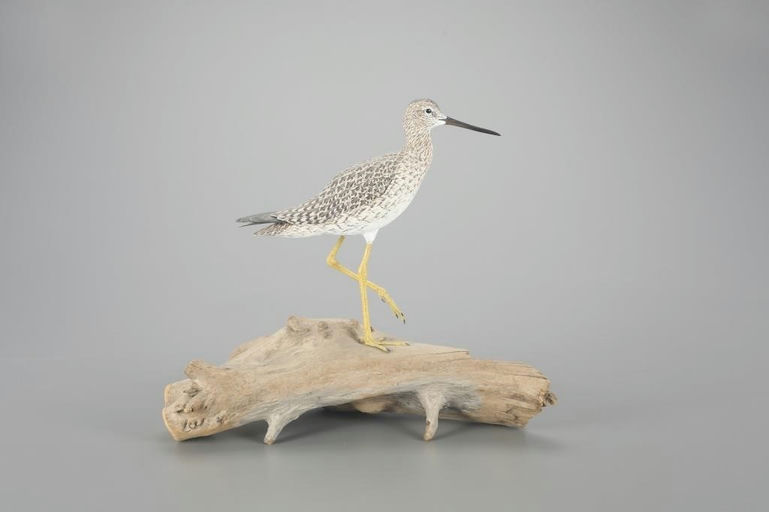 Jack Franco – Life-Size Greater Yellowlegs – 2023