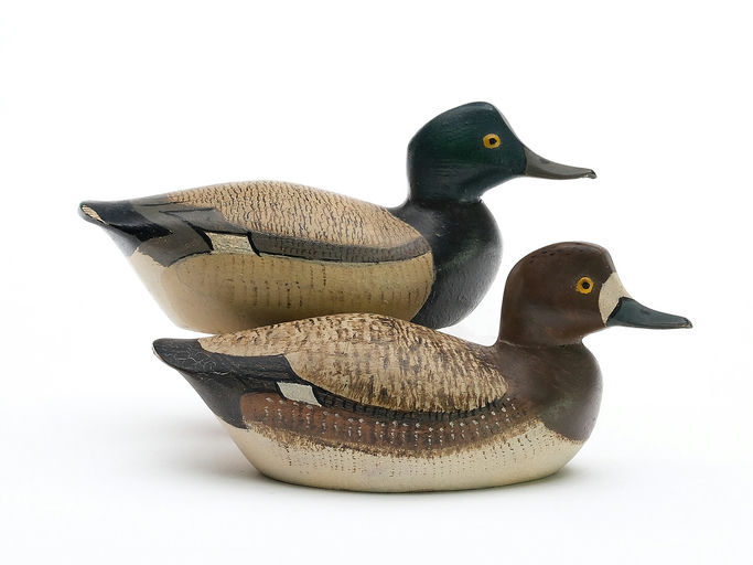 George Boyd – Scaup – 2025