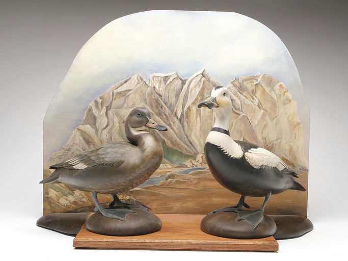 Bill Gibian – Pair of Labrador Ducks – 2023