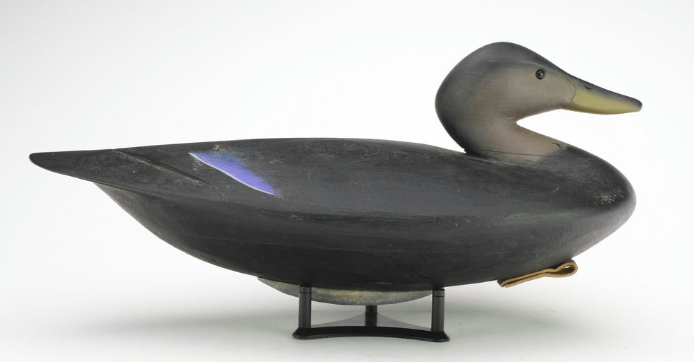 Pete Peterson – Black Duck – 2024