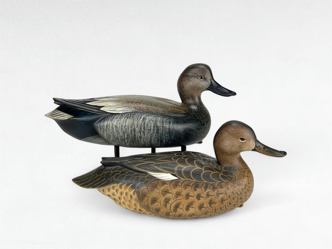 Sean Sutton – Gadwall Pair – 2024